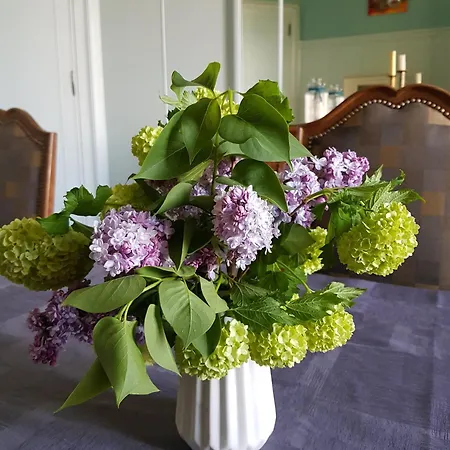 Domaine De L'oie Rouge Les Rosiers