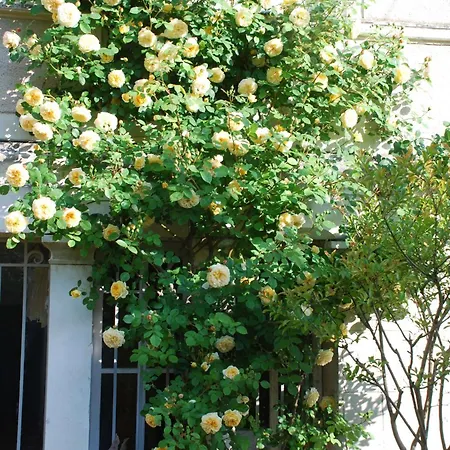 Domaine De L'oie Rouge