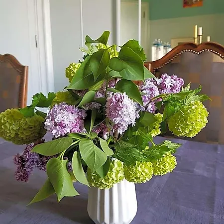 Domaine De L'oie Rouge 3* Les Rosiers